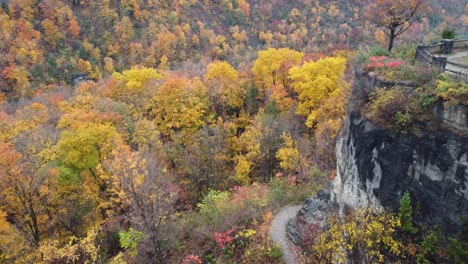 Cañada-Del-Niágara-En-Temporada-De-Otoño