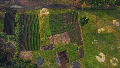 aerial view of the morogoro town in  tanzania