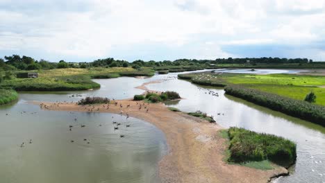 Aerial-video-footage-captures-the-saltwater-marshlands-along-the-Lincolnshire-coast,-featuring-seabirds-in-flight-and-on-the-lagoons-and-inland-lakes