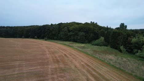 drone dolly in front of forest edges that border up to a field