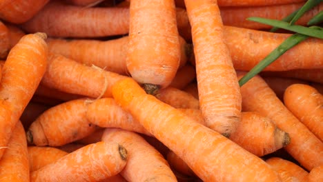 fresh carrots