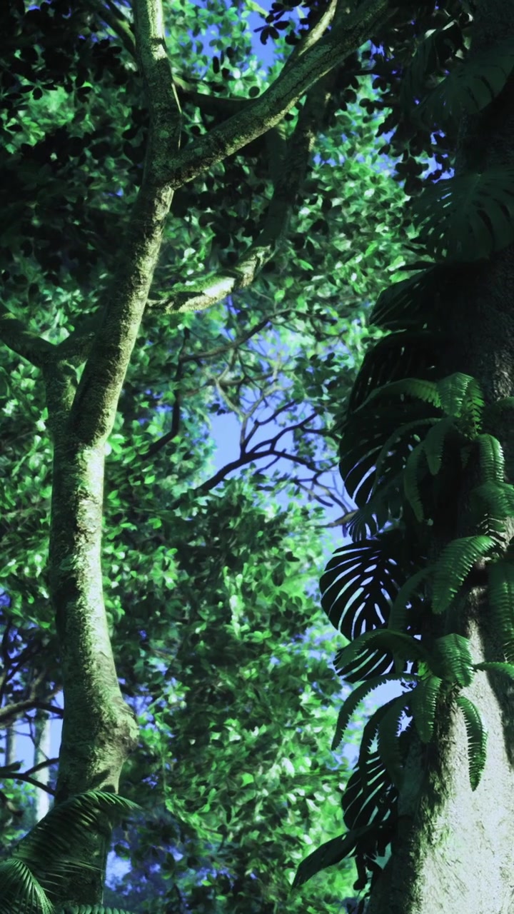 Alberi e piante crescono sotto un cielo azzurro brillante in una fitta area forestale.