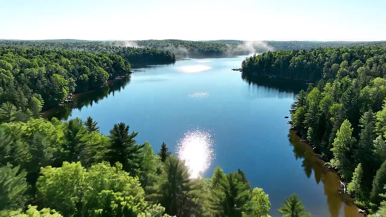 Aerial View of Serene Lake in a Dense Pine Forest