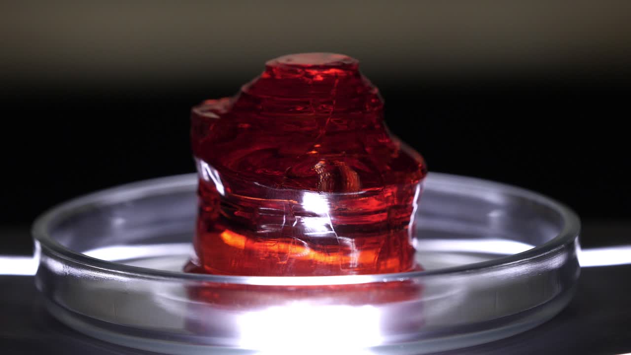 muestra de gel rojo en placa de petri