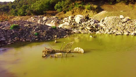 un cadáver de esqueleto de un caballo muerto en un pequeño lago en la cima de la montaña