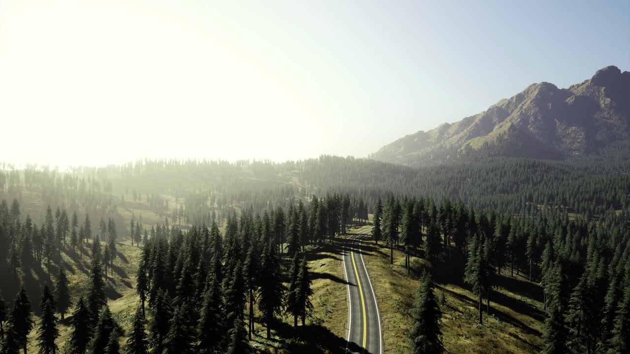 vista panorámica de la carretera sinuosa a través de las montañas boscosas durante el día