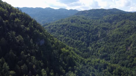 aerial side panning shot of a beautiful lush green alpine mountainous scenery