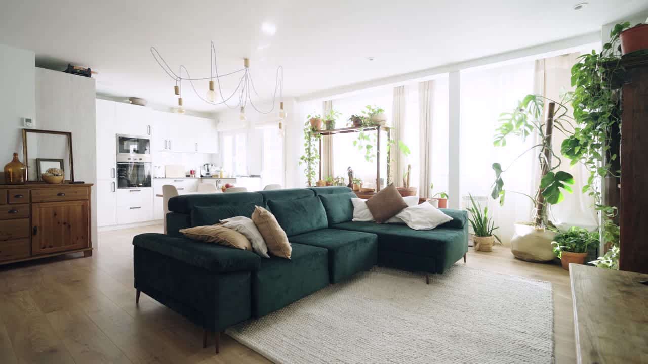 Soggiorno e cucina open space moderni con divano verde e piante da interno