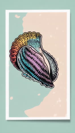 colorful seashell illustration