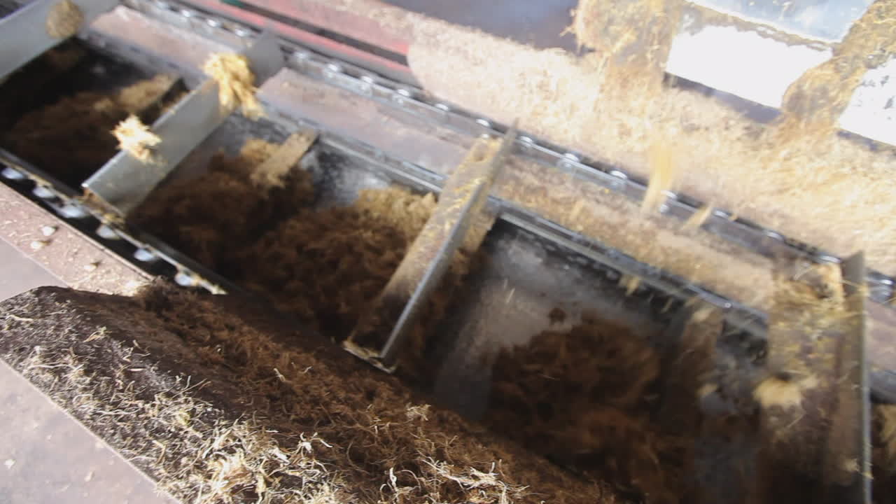 производственная машина работает и производит пальмовое масло на огромном заводе в малайзии