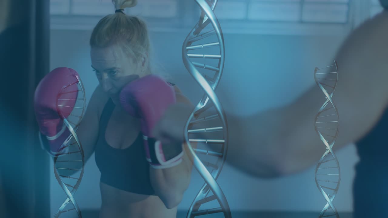 Man throwing jabs and woman countering with pink gloves in gym training, DNA helix aligning