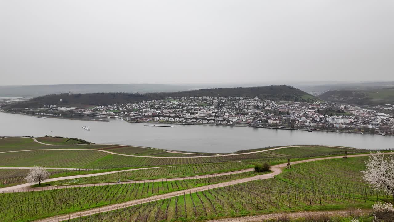 독일의 niederwalddenkmal, 라인 강을 바라보는 동상
