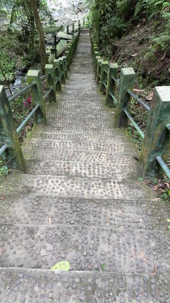 Stone Staircase Leading Down into a Lush Tropical Forest