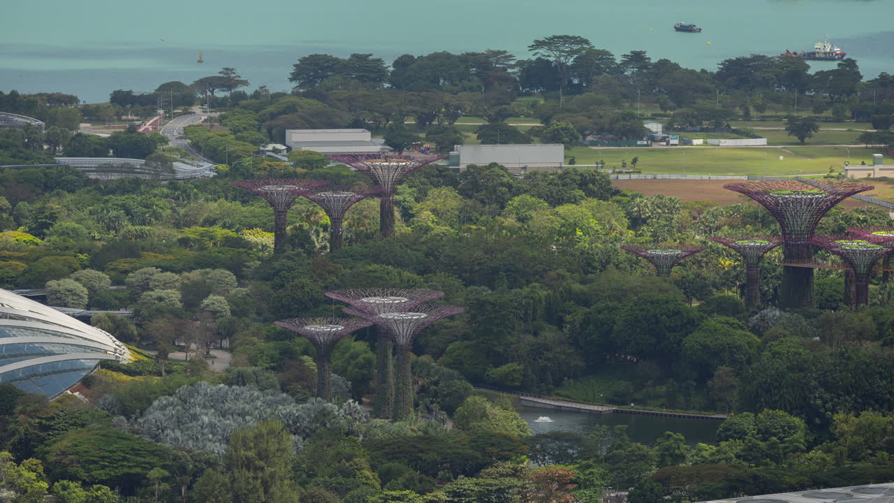 timelapse zoomed into the gardens by the bay in singapore