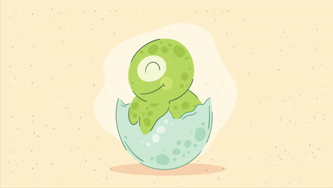 animación de personajes de tortugas bebés