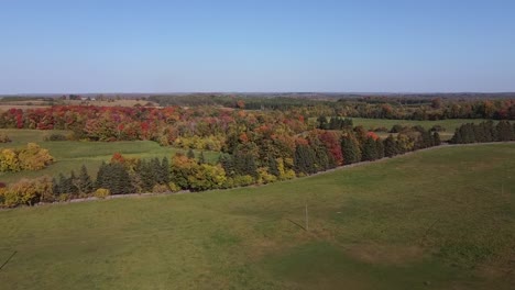 aerial shot of agricultural farmland surrounded by fall colours