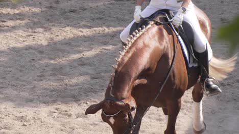 professional rider woman rides horse on arena of equestrian club