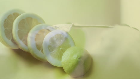 composition of green leaves over sliced lemon background