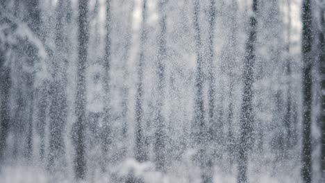 winter landscape during snowfall. winter christmas abstract background on super slow motion.