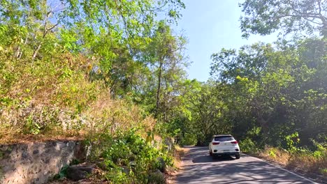 un coche navega por una carretera soleada y bordeada de árboles en chonburi, tailandia. la vibrante vegetación y el cielo despejado crean una atmósfera serena
