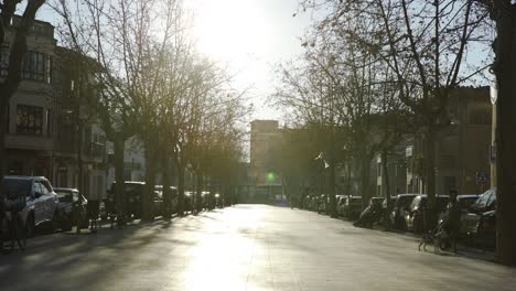 sunny city street scene