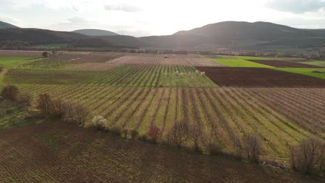 Luftaufnahme-Von-Bauernhöfen-An-Einem-Sonnigen-Nachmittag-|-Ackerland-|-Landwirtschaft