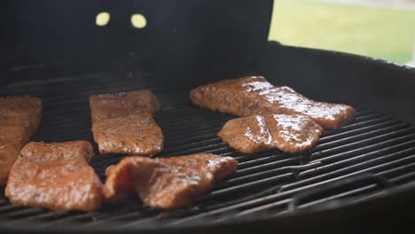 Salmón-Orgánico-Marinado-A-La-Parrilla-En-La-Barbacoa-Del-Patio-Trasero---Vista-Lateral-Deslizante