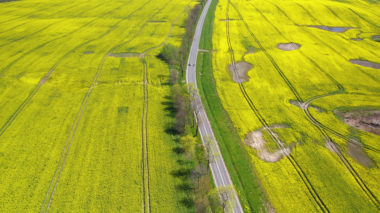 낮에 자연 농업 농장 가운데 경치 좋은 긴 강변 도로, 공중 전망