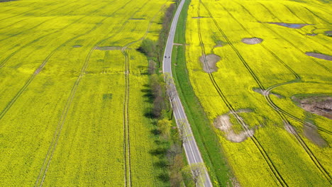 Scenic-long-rive-road-amidst-nature-agriculture-farms-at-daytime,aerial-view