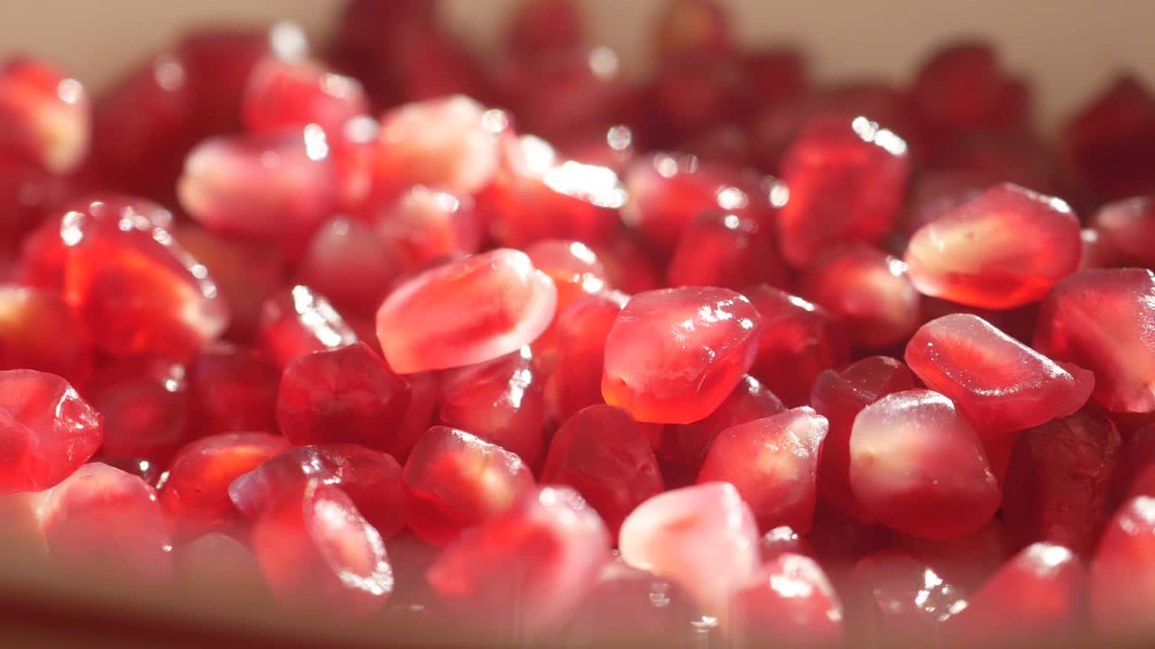 달이 씨의 클로즈업