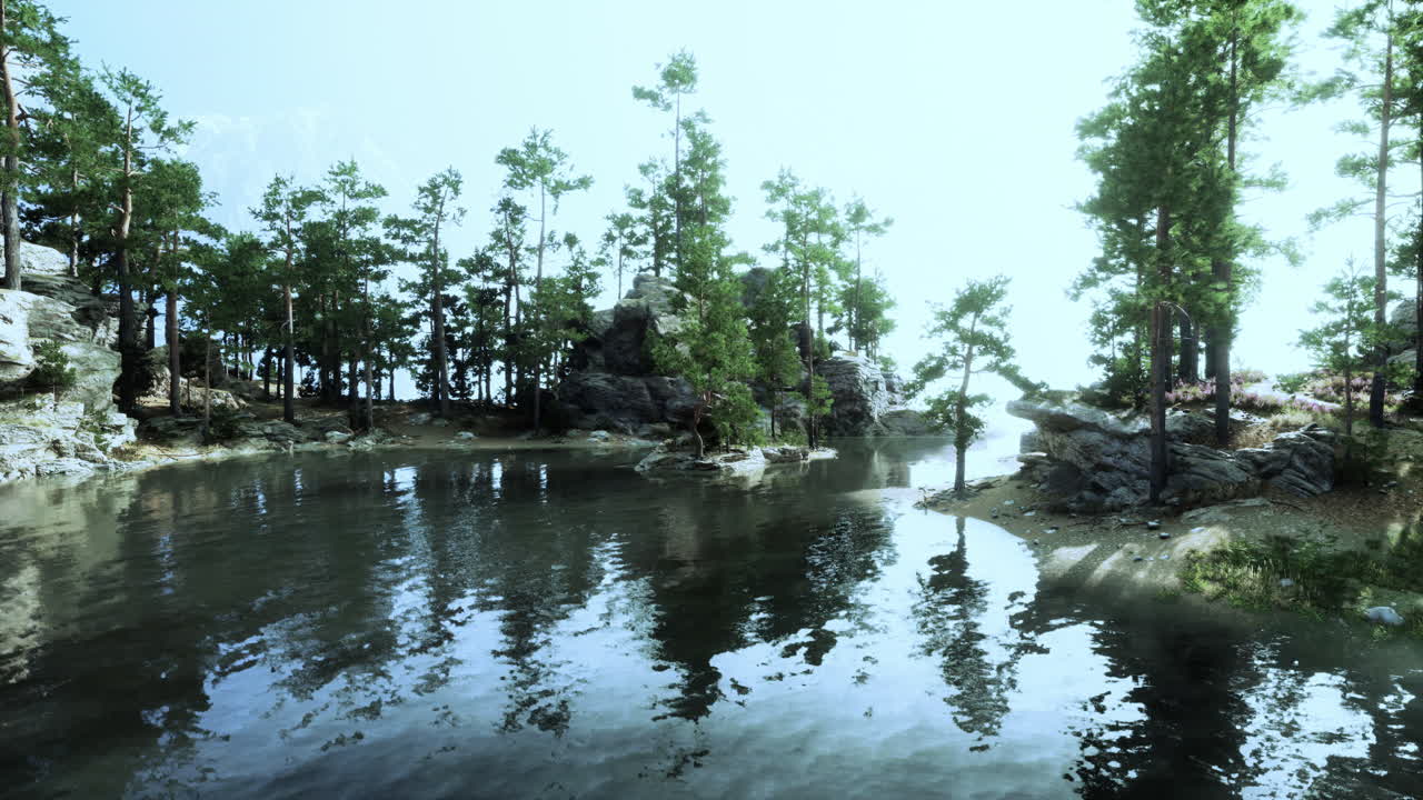 바위 가 있는 조용 한 숲 호수