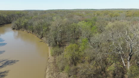 woodland riverside of lower hatchie national wildlife refuge in tennessee, usa