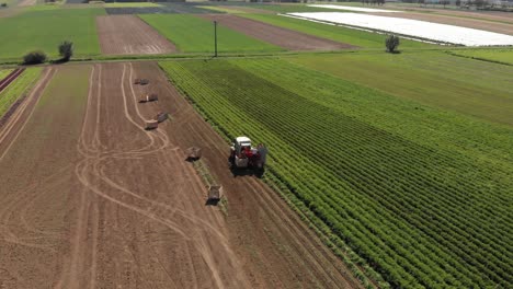 toma aérea, volando sobre un tractor cosechando papas con un hombre parado detrás