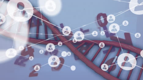 animación de la red de conexiones a través del código de adn