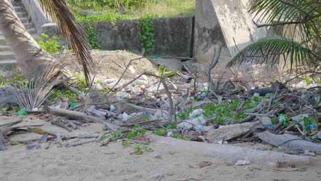 A-chai-and-fresh-coconut-stand-and-salesman-resting-with-plastic-waste-on-the-beach-in-the-foreground-amongst-palms-and-white-sand-in-the-andaman-islands