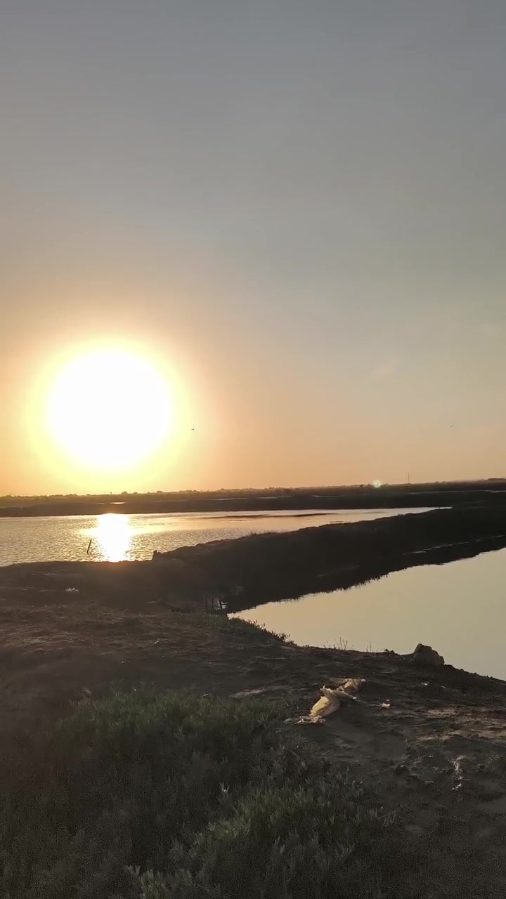 Golden Sunset Over Calm Salt Marsh Landscape