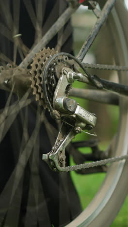 close-up of individual wearing black trousers and sneakers standing beside parked bicycle in grassy field, adjusting the pedal backward, lifting rear tire, and pedaling to rotate the wheel