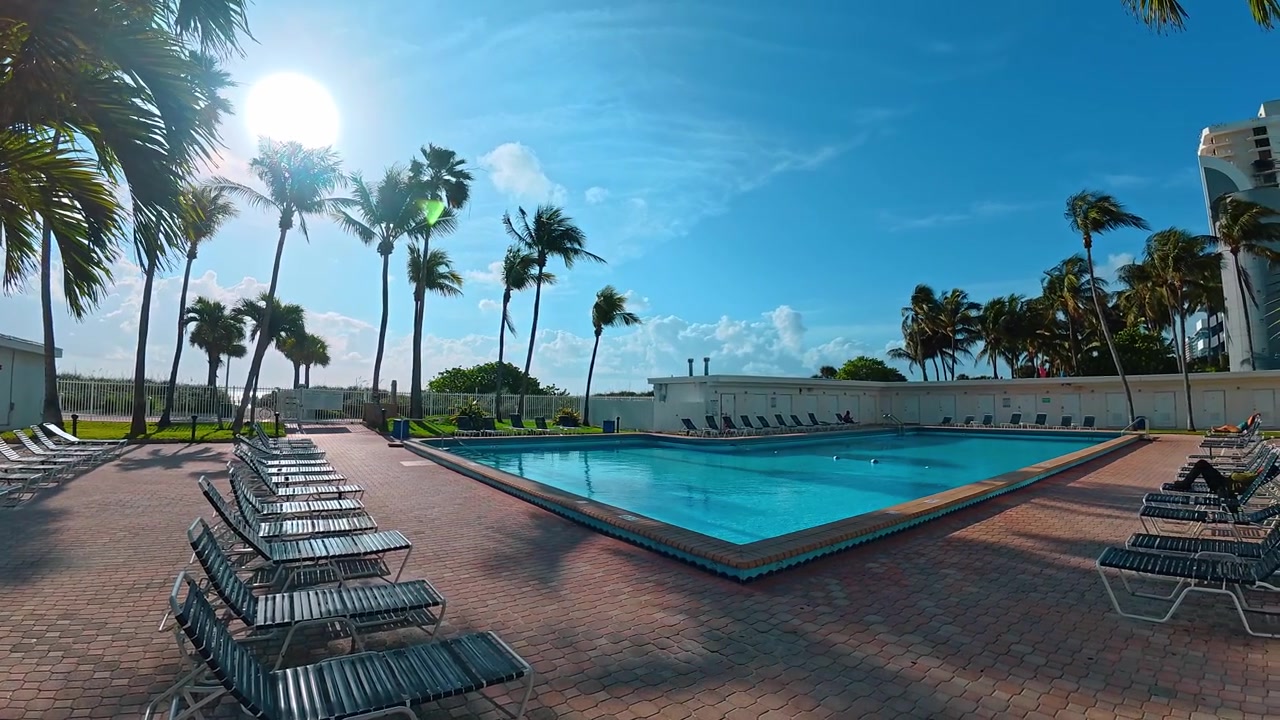 Outdoor swimming pool with loungers and palm trees in Miami. Clear blue water pool surrounded by red brick deck, metal lounge chairs, bright sunlight, lens flare, wide angle.