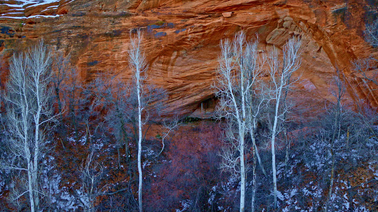 A dramatic drone shot captures the stark white aspen trees set against the striking red rock canyon backdrop.