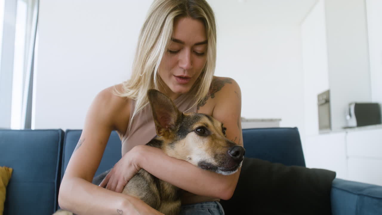 집에 있는 개와 여자