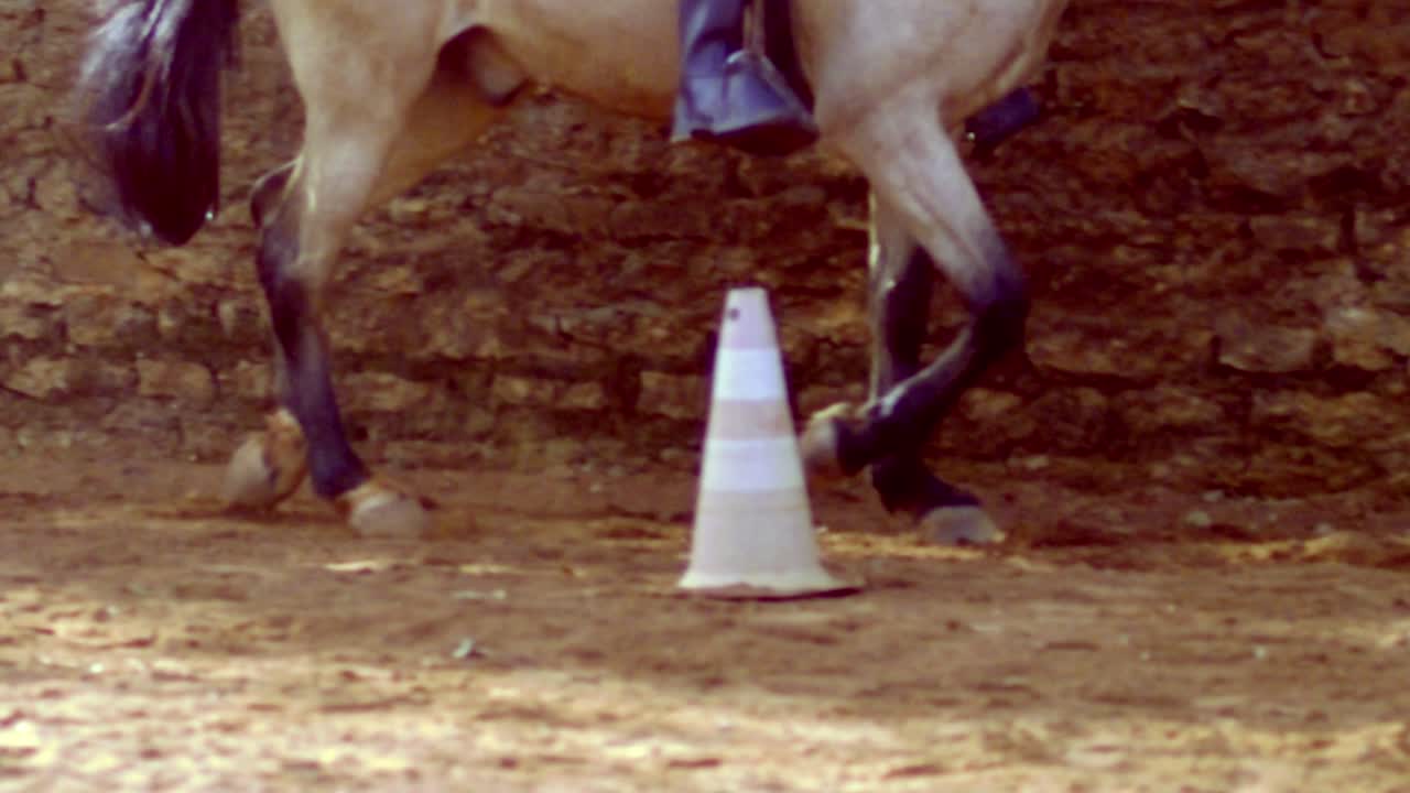 A slow-motion clip captures the graceful movements of a horse&rsquo;s legs as they trot along