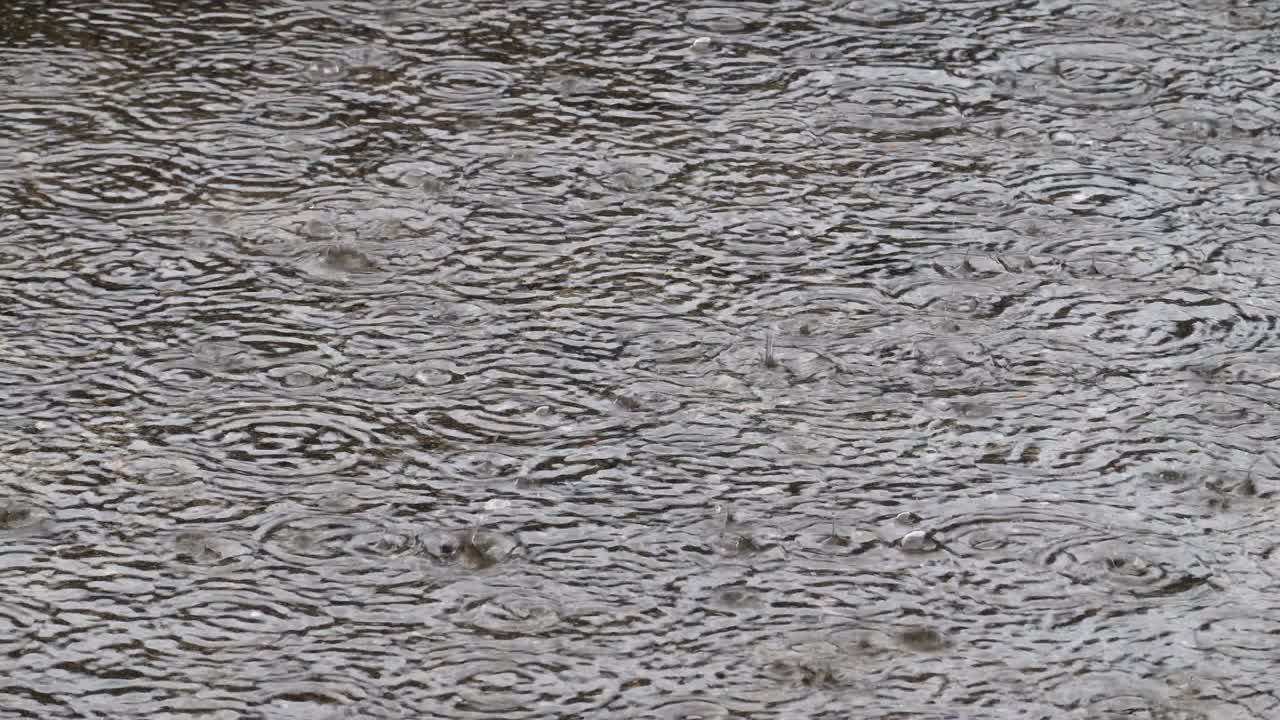 Heavy rain on water shooting with high speed camera,drops to puddle surface, wet weather, abstract liquid nature closeup video. Raindrop falling season. Splash, ripple on the road in rainy city.