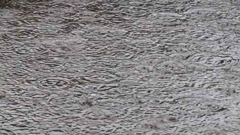 heavy rain on water shooting with high speed camera,drops to puddle surface, wet weather, abstract liquid nature closeup video. raindrop falling season. splash, ripple on the road in rainy city.