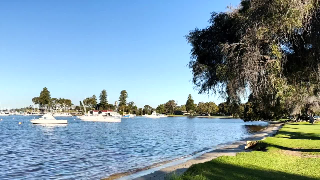 лодки на берегу реки лебедь в пепперминт-гроув, перт, западная австралия