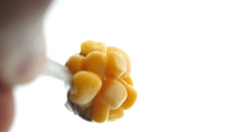 canned corn on a spoon