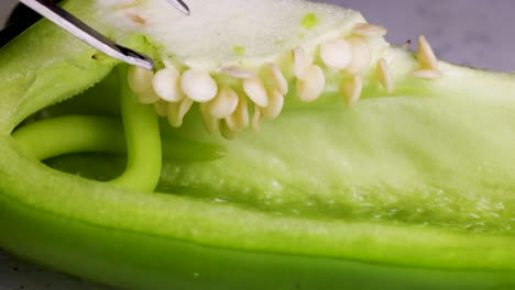 Macro view of tweezers extracting seeds from a sliced green bell pepper under bright lighting