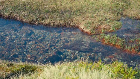 fresh clean pebbled stream of a river