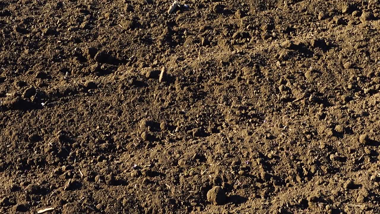 Il campo agricolo, riprese della terra arata. Riprese in aree rurali