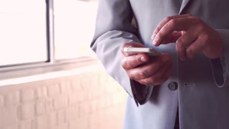 hombre de negocios sonriente escribiendo en su teléfono inteligente