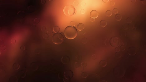 abstract bubbles background loop